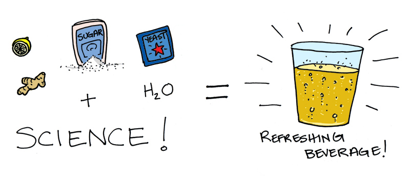 Gingerbeer_science.jpg